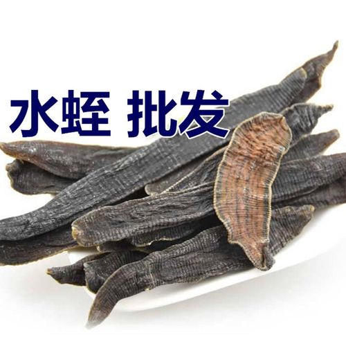 2012年水蛭干货价格为何暴涨？-图3