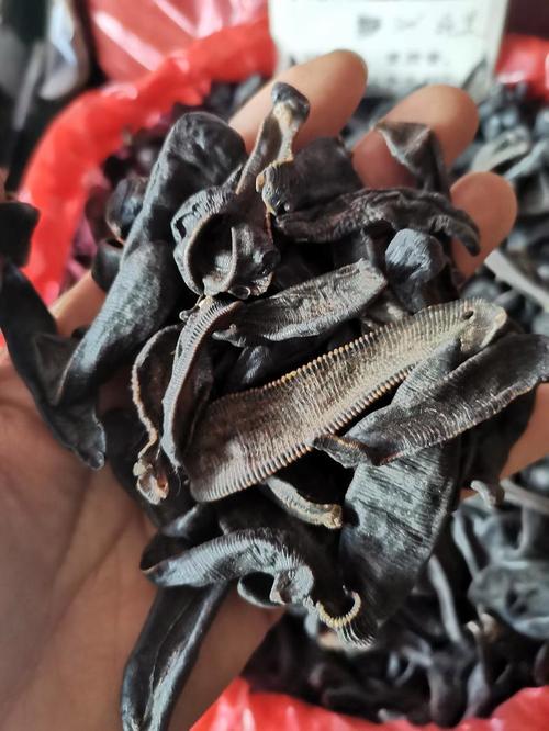 2012年水蛭干货价格为何暴涨？-图1