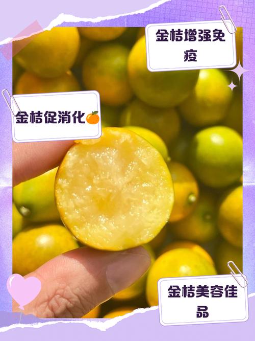 金桔所有品种都能吃吗？-图2