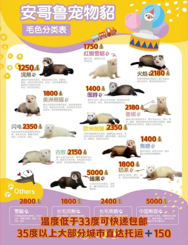 2025年9月水貂价格会涨还是跌?-图1 2025年9月水貂价格会涨还是跌?-图1