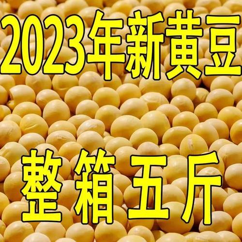 2025黑龙江黄豆价格会涨还是跌?-图2 2025黑龙江黄豆价格会涨还是跌?-图2