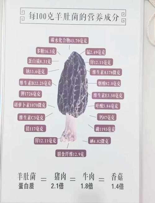 2025羊肚菌菌种价格会涨还是跌？-图1