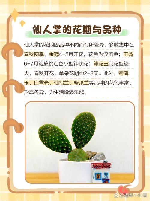 花仙人掌品种有哪些？-图1