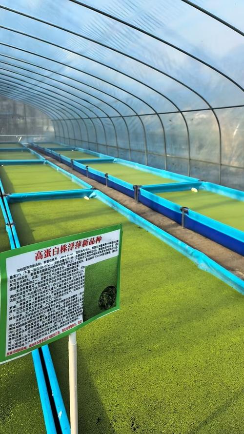 养殖河技术视频哪里能看？-图3