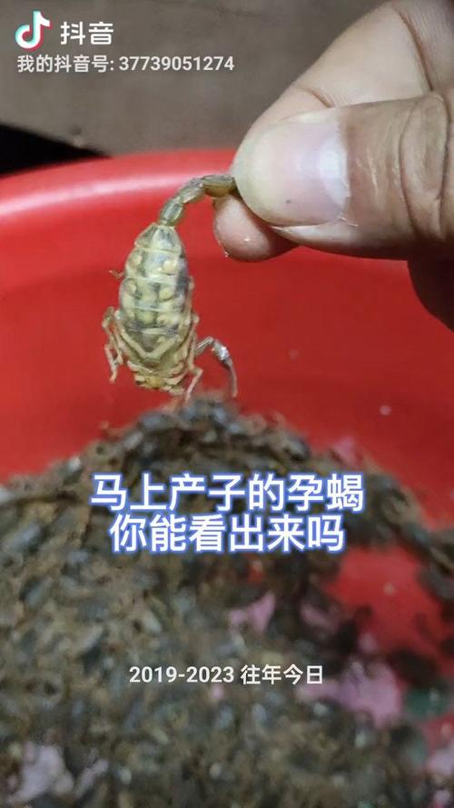 养殖河技术视频哪里能看？-图1