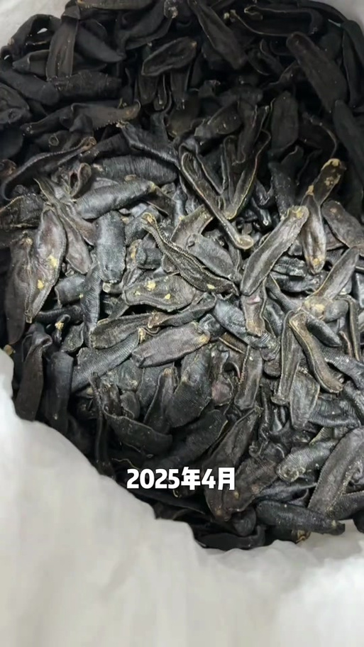 2025水蛭价格走势如何？-图1