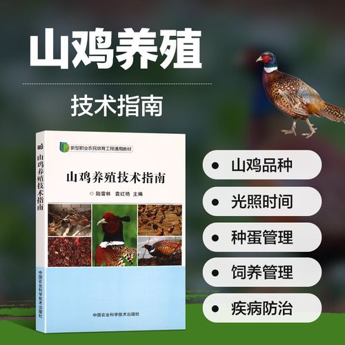 哪里能学正宗山鸡养殖技术?-图1 哪里能学正宗山鸡养殖技术?-图1