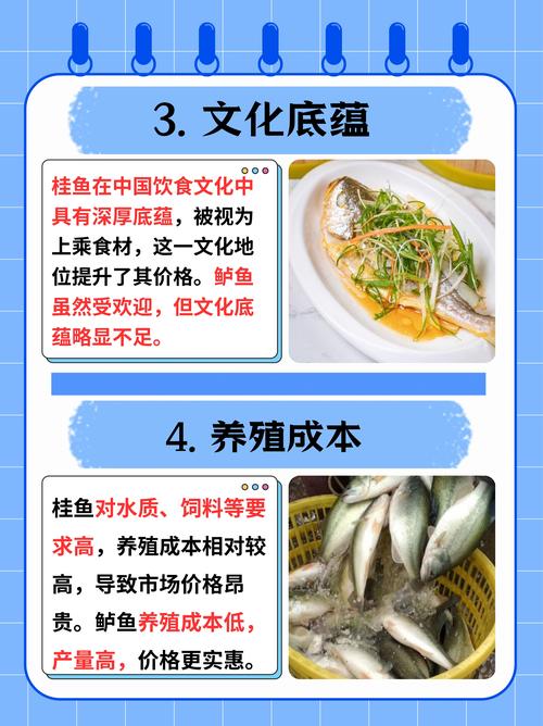 广西哪里能学到桂鱼养殖技术？-图2