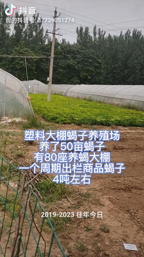 蝎子养殖利润成本高吗？技术门槛如何？-图1