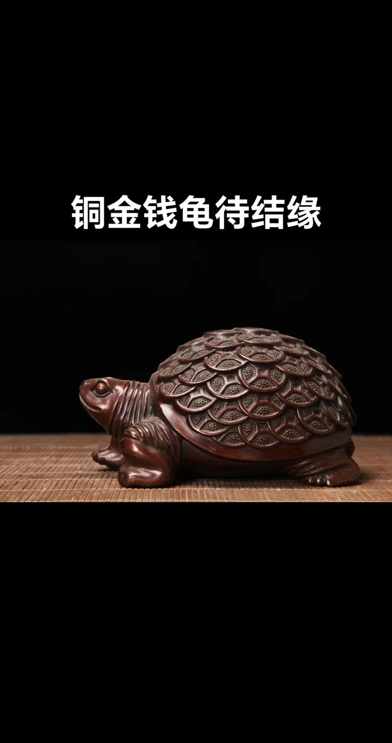 金钱龟2025价格走势如何？-图3