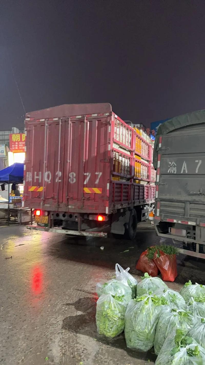 2025年肉兔皮价格会涨还是跌？-图3