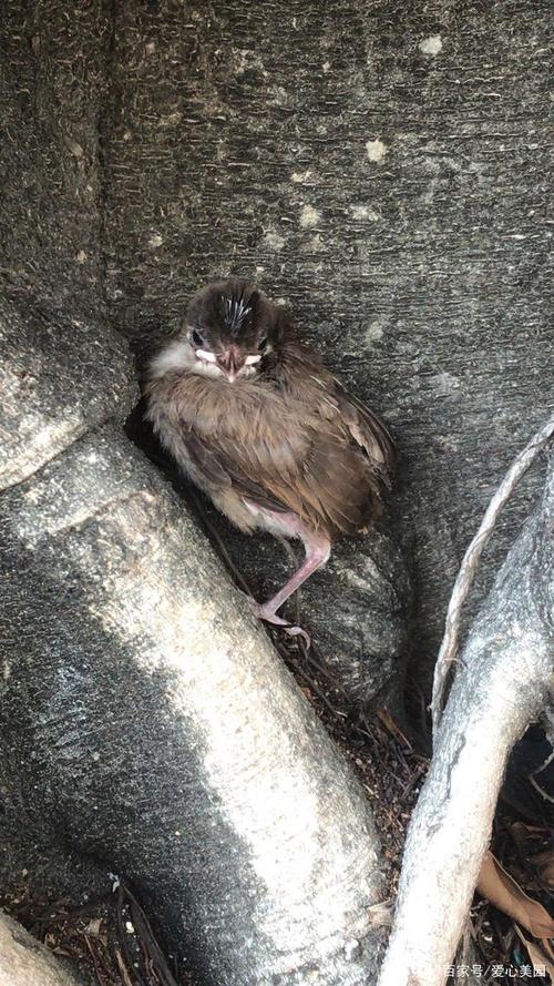 养殖技术不会，该去哪里学？-图3