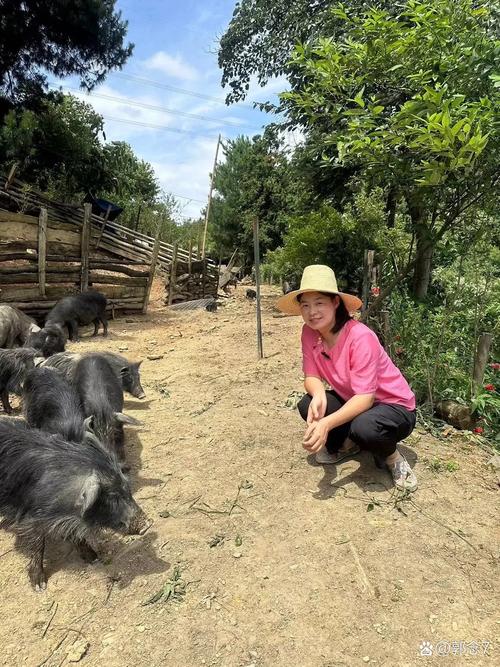 农村创业，小耿选什么猪品种好？-图3