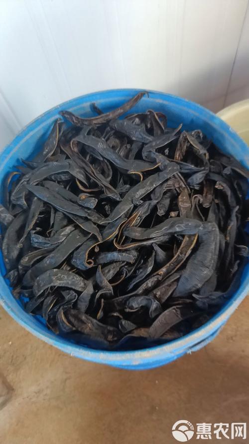 2025宽体金线蛭价格会涨还是会跌？-图3