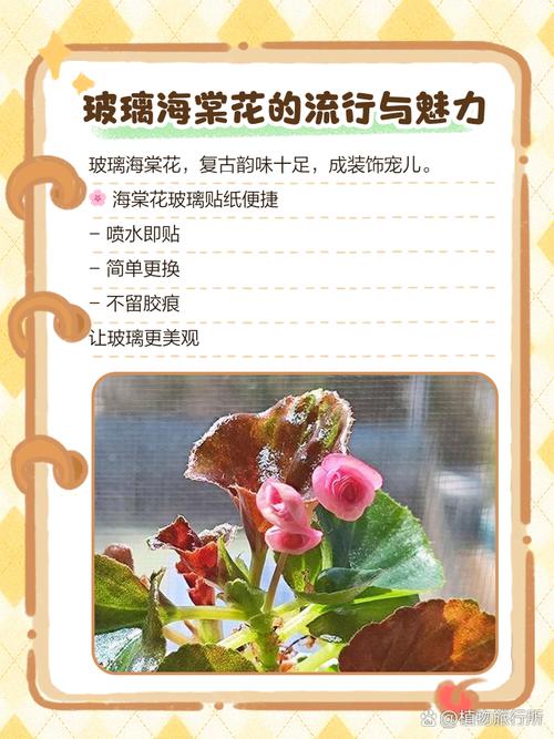 玻璃海棠有哪些常见品种?-图1 玻璃海棠有哪些常见品种?-图1