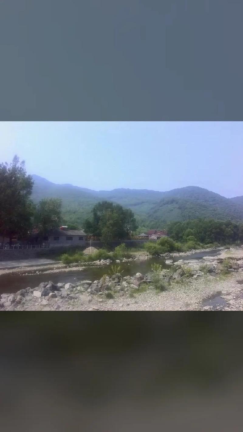 2025年林蛙野生价格会涨还是跌？-图3