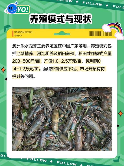 淡水虾养殖技术最新突破是什么？-图2