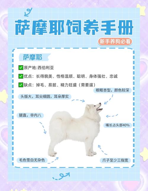 曼陀罗麻醉饲养肉狗技术安全吗？-图3