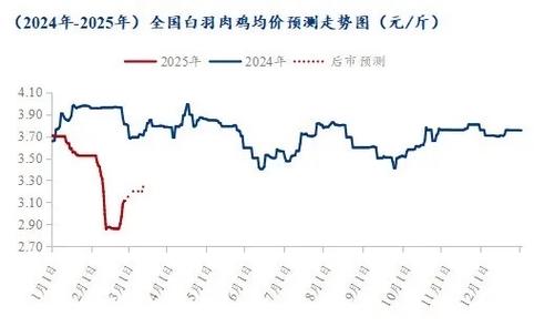 2025肉毛鸡价格会涨还是跌?-图3 2025肉毛鸡价格会涨还是跌?-图3