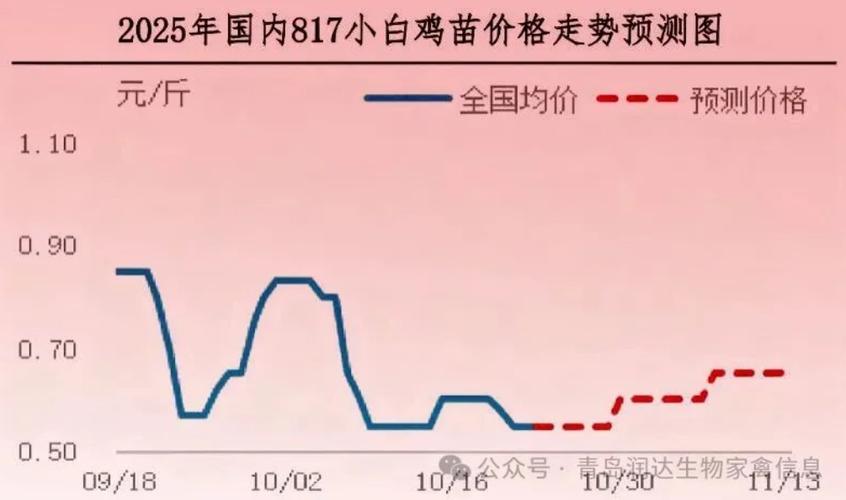 2025年毛鸡价格将如何波动?-图3 2025年毛鸡价格将如何波动?-图3
