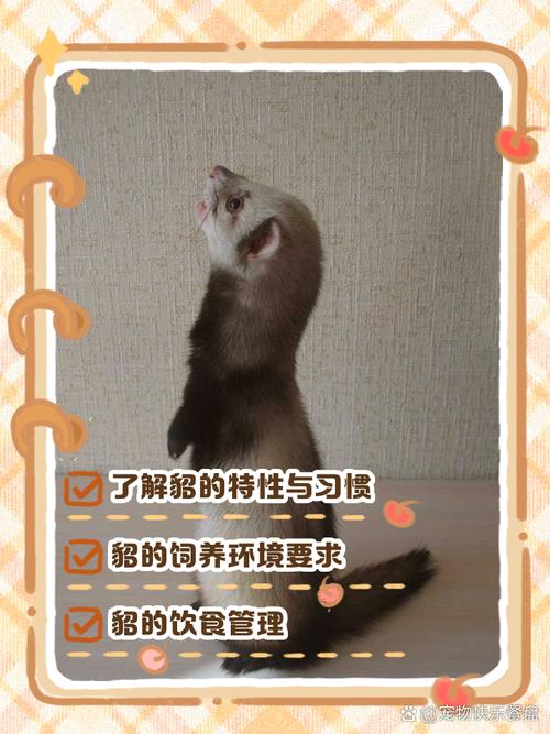 水貂养殖技术属于哪个学科?-图3 水貂养殖技术属于哪个学科?-图3