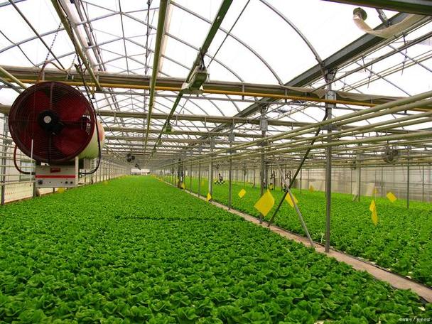 种植业核心品种是什么?-图3 种植业核心品种是什么?-图3