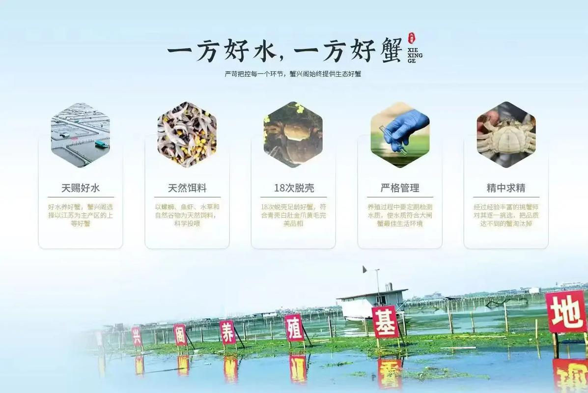 螃蟹养殖技术哪里学最正宗？-图1