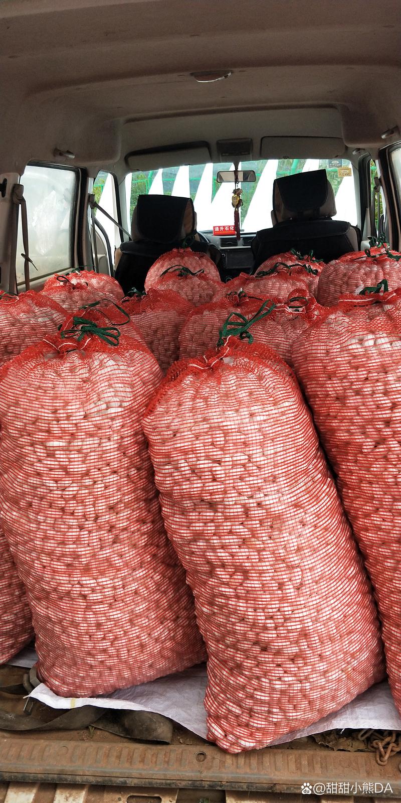 农村收购蚕茧价格最新行情如何？-图1