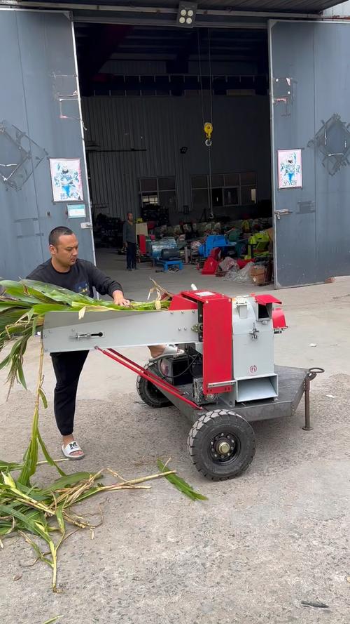 青稻草粉碎发酵技术视频有何关键要点？-图3