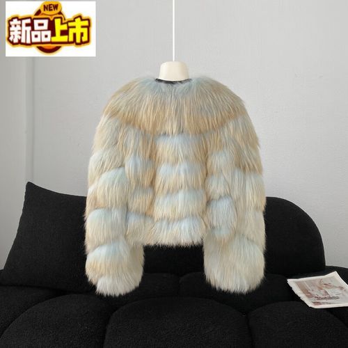 2025貉子价格会涨吗？-图3