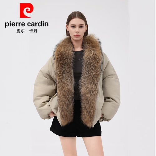 2025貉子价格会涨吗？-图1