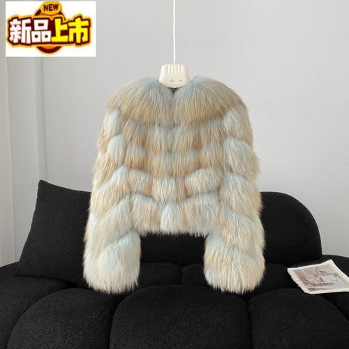 2025貉子价格会涨吗？-图2