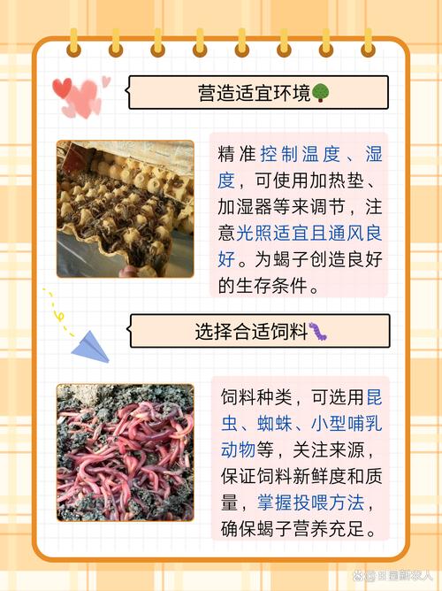 蝎子养殖技术关键注意点有哪些?-图2 蝎子养殖技术关键注意点有哪些?-图2