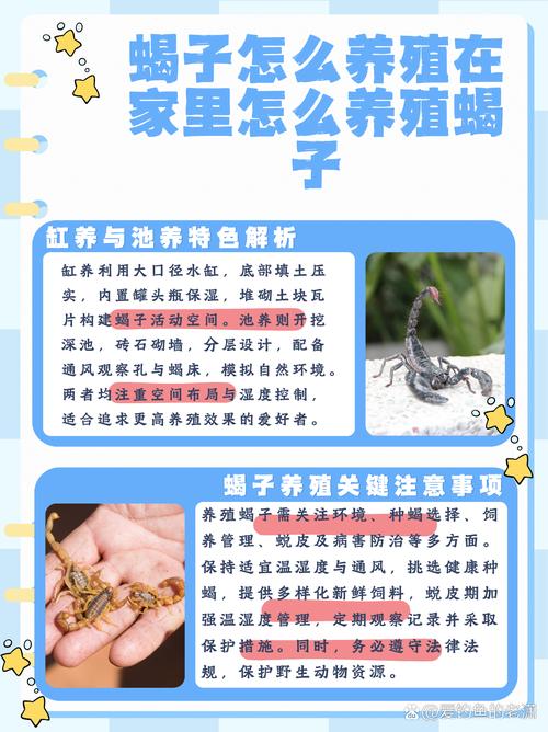 蝎子养殖技术关键注意点有哪些?-图1 蝎子养殖技术关键注意点有哪些?-图1