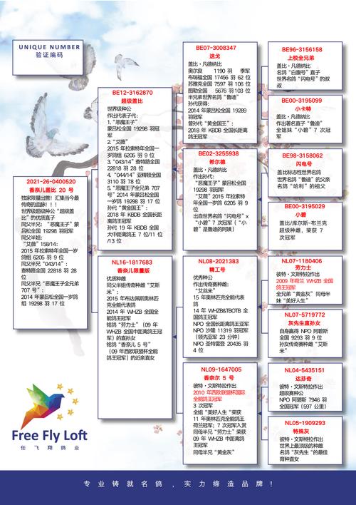 2025年6月乳鸽价格会涨还是跌？-图1