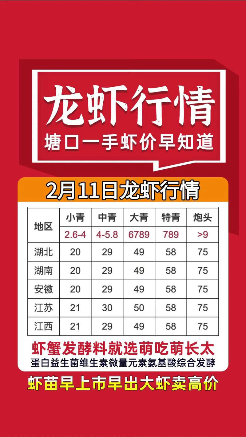 长沙大龙虾2025年价格会涨还是跌？-图1