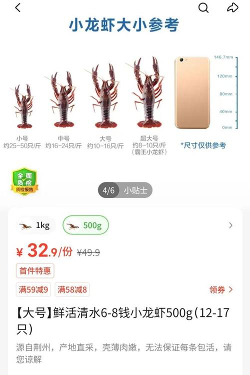 长沙大龙虾2025年价格会涨还是跌？-图2