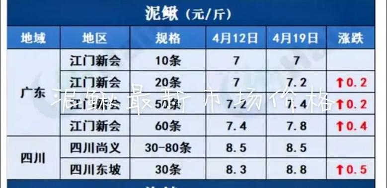 水中之参泥鳅价格为何波动大？-图1
