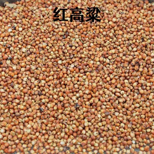 粮食带红的是什么品种？-图1