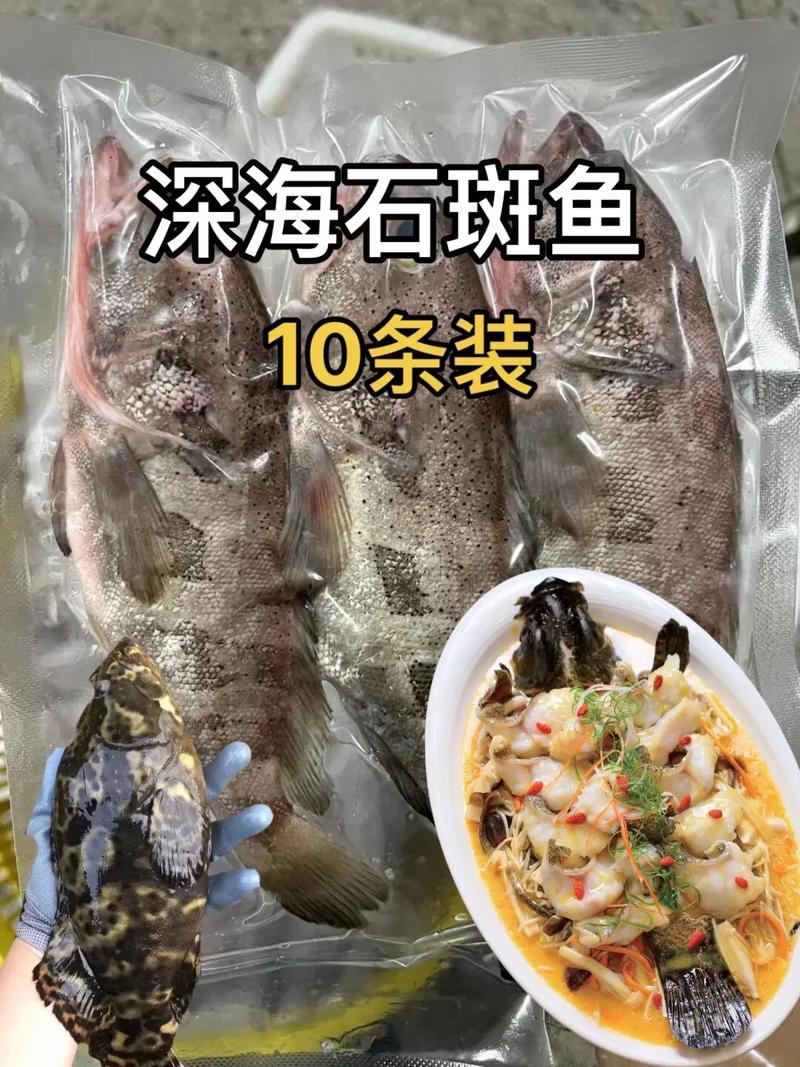 海南石斑鱼价格2025-图1