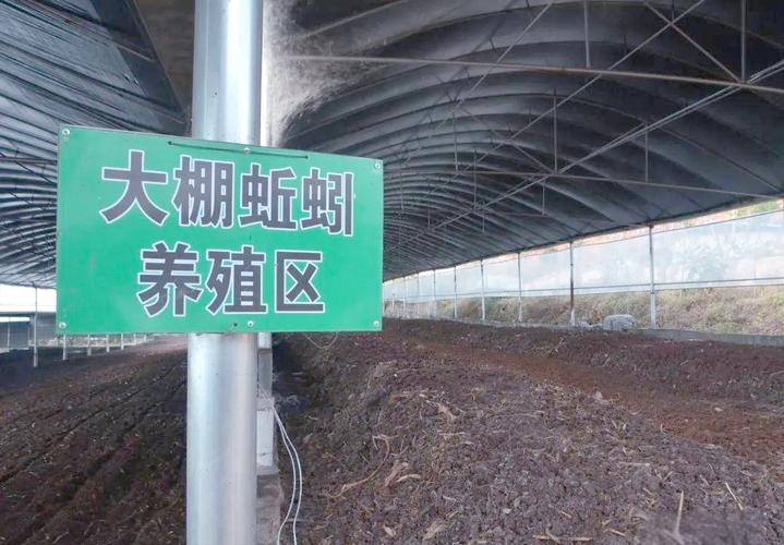 蚯蚓养殖选什么品种合适？-图3