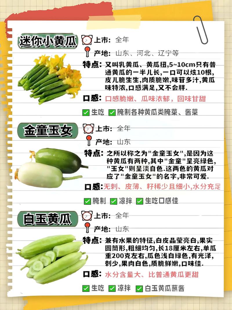 津优有338黄瓜品种存在吗？-图2