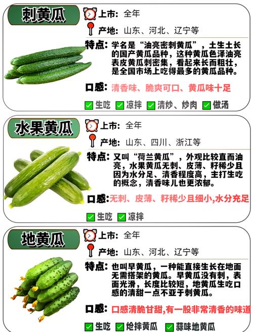 津优有338黄瓜品种存在吗？-图1