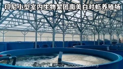 生物絮团技术如何实现高效水产养殖？-图3