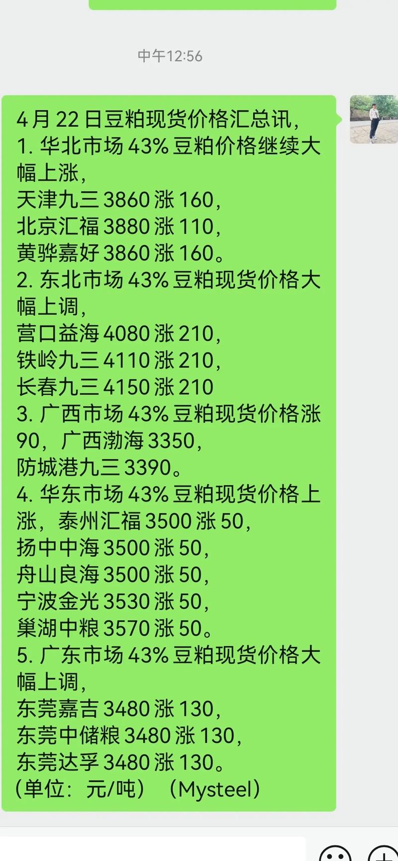 2025年湖北豆柏价格会涨还是跌？-图2