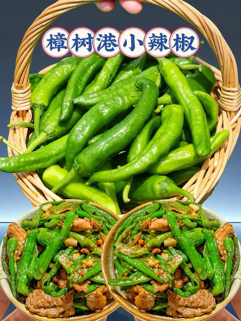 江西红辣椒是什么品种？-图1