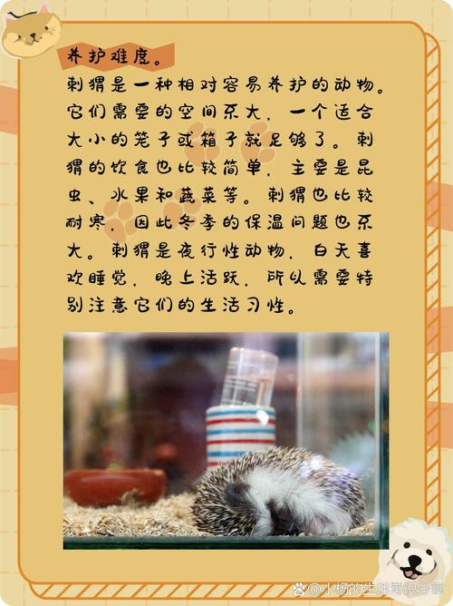 CCTV7刺猬养殖技术有哪些关键要点？-图3