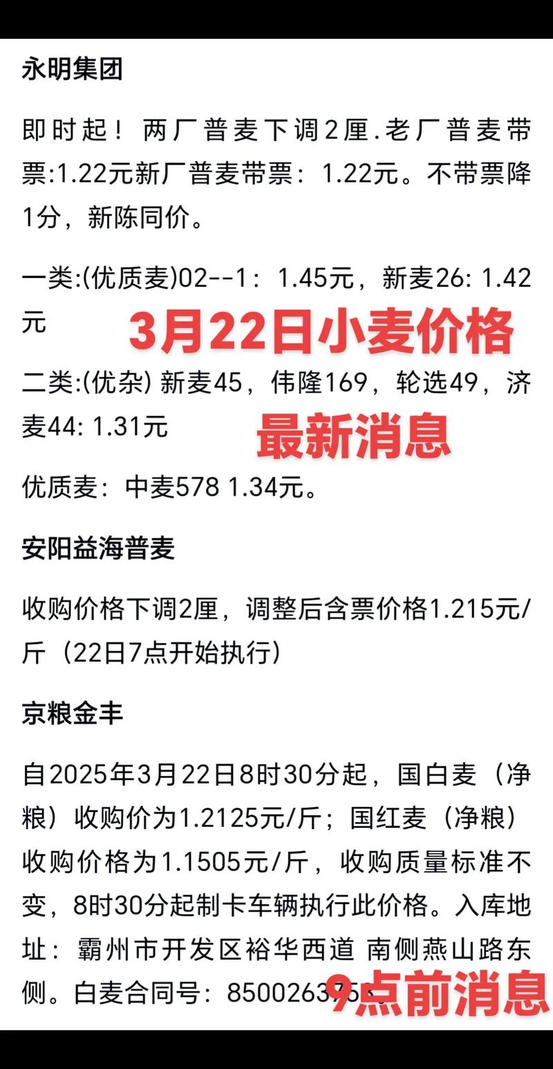 2025新小麦开称价多少？行情会涨还是跌？-图2