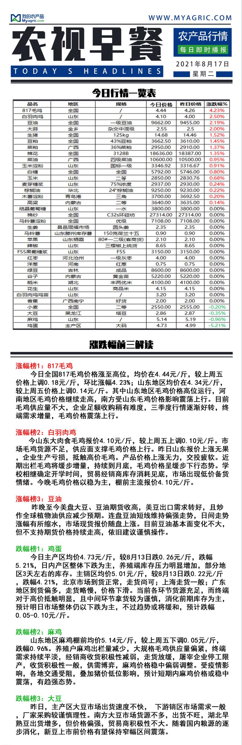 济南817毛鸡价格今日如何？-图1