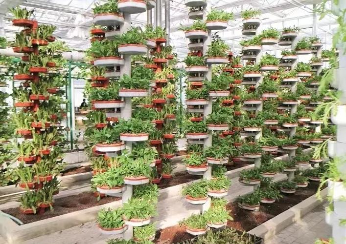 家庭种植养殖加工新技术有哪些实用妙招？-图3